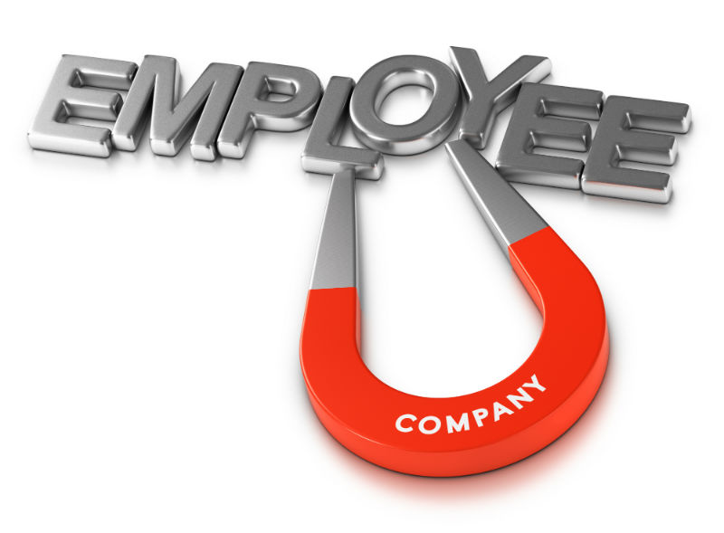 Company Employees